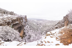 1_R9A0488-Pano_FINAL