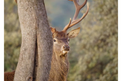 1_DSC6957-ARW_PURERAW3_FINAL